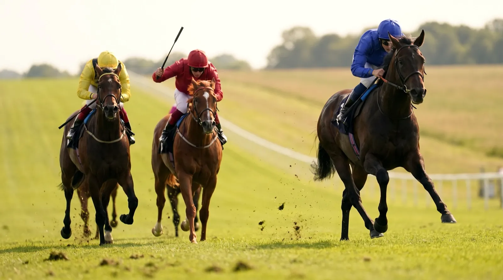 競馬の最後の直線を低い位置から捉えたイメージ。外から1頭が伸びる一方で、内の2頭は首が高くなり脚色が鈍っており、コースがゴールに向かって上っているのが分かる