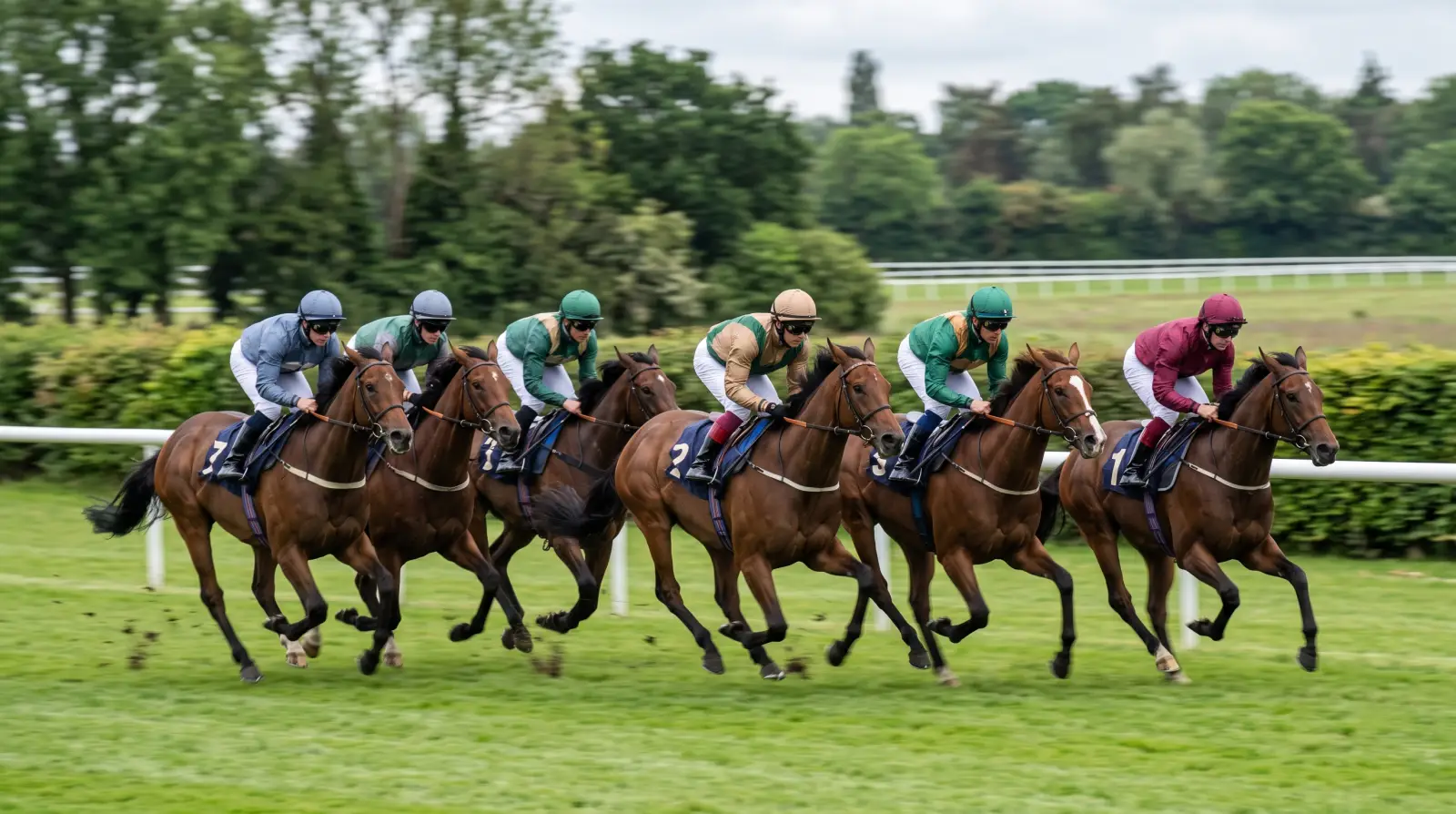 道中で折り合って走る3歳牝馬の集団のイメージ